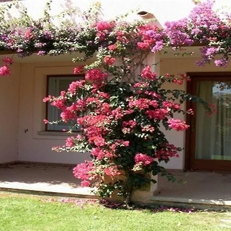 Il Borgo By Kasavacanze Apartment Loiri Porto San Paolo